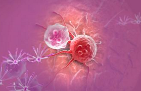 Science：癌细胞能够快速修复细胞核破裂