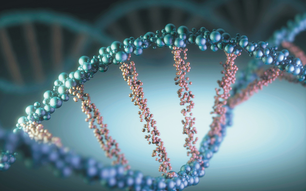 DNA编码分子库为药物发明提供便利