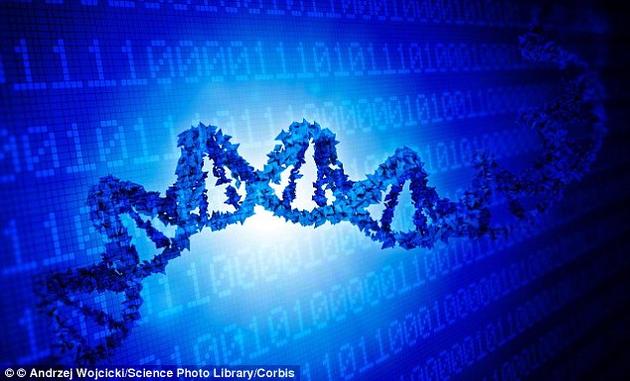 Science：“DNA编程<font color="red">语言</font>”定向改造细胞<font color="red">功能</font>成为可能