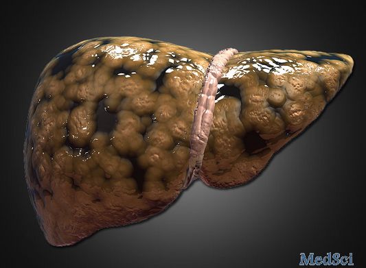 Liver Transplantation：警惕！脂肪肝日渐成为常见病