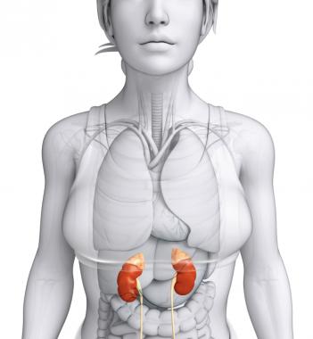 J Am Soc Nephrol：治疗胃灼热胃酸药物PPIs的长期使用可导致严重肾脏疾病的发生