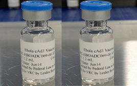 JAMA：对2种<font color="red">埃</font>博拉病毒疫苗安全性和免疫原性的评价
