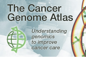 【盘点】癌症基因组亮点研究荟萃