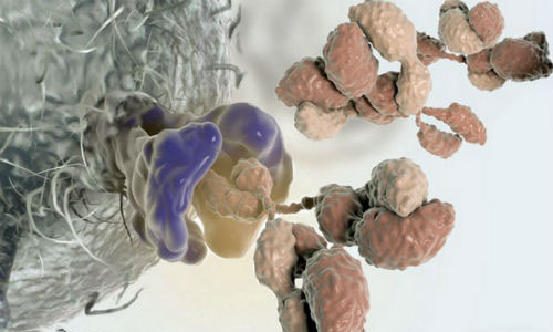 癌症免疫细胞治疗知识：CAR-T与TCR-T的区别在哪里？