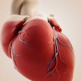 Nat Commun：虚拟心脏能减少心脏病发病