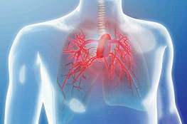 Circulation：肺动脉高压发病机制研究获重大进展