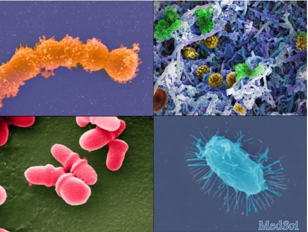 美国启动“国家微生物组计划”---详解“微生物组”来龙去脉