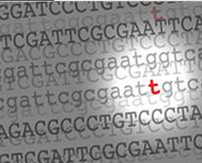 【盘点】Nature多篇亮点研究揭示膀胱肿瘤基因组突变中<font color="red">DNA</font><font color="red">修复</font>及<font color="red">损伤</font>的关键角色