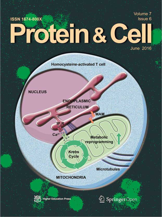 <font color="red">Protein</font> Cell. ：寨卡病毒关键药物靶点研究取得进展
