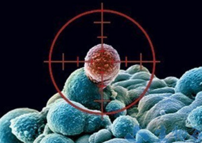 Pathology：维生素A或可有效改善胰腺癌的化疗效果