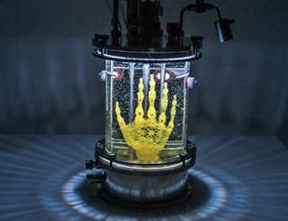 艺术家正用3D打印支架和干细胞长出一只人手