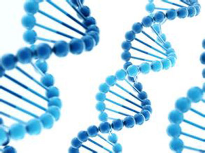 基因测序技术能帮助对发育迟缓患儿作出诊断