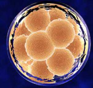 重磅：卫计委公布首批干细胞临床研究机构备案名单