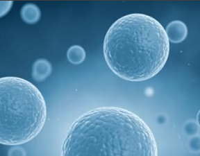 【盘点】2016年5月份生物谷推荐的干细胞研究