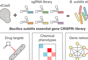 Cell<font color="red">发布</font>CRISPR研究新成果