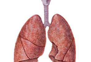 BMJ研究新闻：过去十年<font color="red">肺部</font>疾病所导致的死亡居高不下