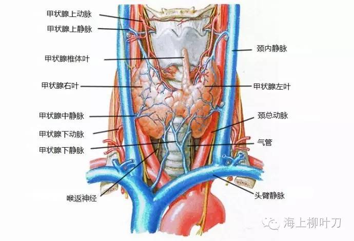 001Pzntqgy6WkGZvmbTd1&690.jpg