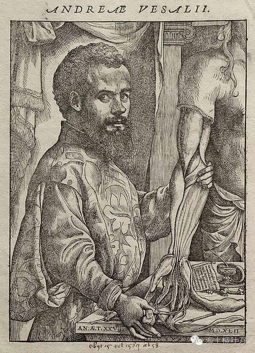 500px-Vesalius_Fabrica_portrait.jpg