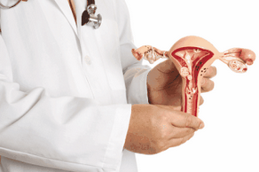 人类子宫移植是否能够广泛开展？