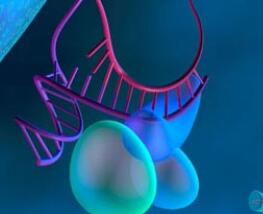 Sci Rep：RNA干扰系统在哺乳<font color="red">动物细胞</font>内具有抗病毒功能