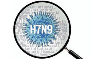 北京发现一H7N9病例 患者病情危重