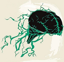 Lancet Neurol：爆炸伤后患者出现的特发<font color="red">颅脑损伤</font>