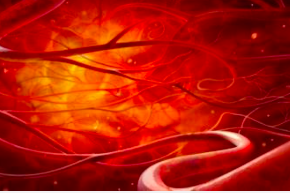 亚太血管学术联盟（APA）澳门国际论坛暨2016澳门<font color="red">卫生局</font>医生协会国际学术年会