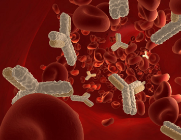 J Immunol：CD38单抗Daratumumab能够引发FcR介导的<font color="red">细胞</font><font color="red">程序性</font>死亡