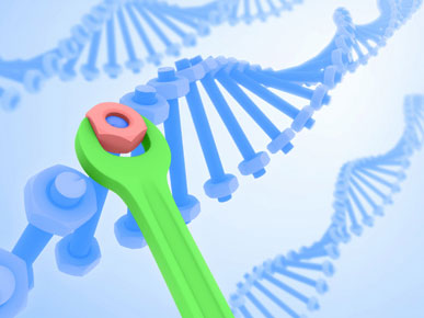 Nature：科学家揭示染色质如何指导DNA修复 为开发癌症治疗药物提供新契机