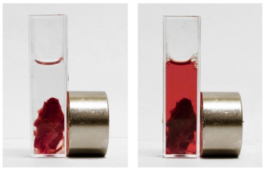 Sci Rep：<font color="red">磁力</font>纳米靶向药物或将有效解决血栓问题