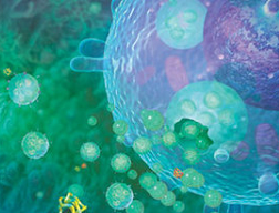 Immunity：miRNA调节Th17活性机制