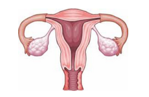 J Clin Endocrinol Metab：自发性卵巢早衰的女性，联合激素替代疗法较口服避孕药可更好的提高<font color="red">腰椎</font>的骨密度
