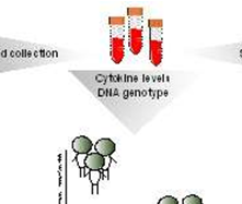 Nat Med：科学家揭秘基因如何影响机体应对病原体<font color="red">的</font><font color="red">免疫力</font>
