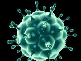 MMWR：CDC发布美国HPV相关癌症数据