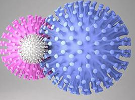 APT：仅有1.2%的患者能够完全清除HBV病毒