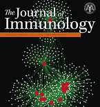 J Immunol：类风湿性关节炎发病新机制