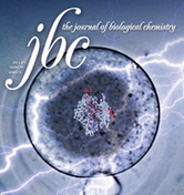 JBC：科学家绘制出胆固醇药物对炎性疾病产生效应的图谱