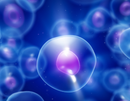 Mol Ther：局部抑制补体能够提高间充质干细胞的活力和功能