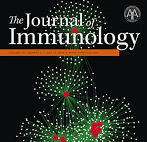 J Immunol：胸腺中存在大量<font color="red">自体</font>反应性B<font color="red">细胞</font>