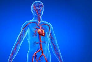 Heart：遗传评分可改善中间风险个体的心血管疾病风险预测