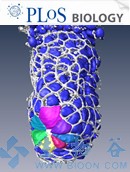 PLoS Biol：<font color="red">便</font><font color="red">便</font>治療疾病不再是個“笑話”