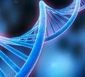 DNA可作超高效纳米机器引擎