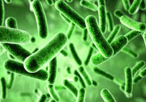 TAGC 2016：肠道菌群种类影响民众结肠癌易感性