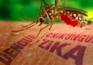 首例Zika病毒<font color="red">经</font>性传播由女性传染给男性的报道