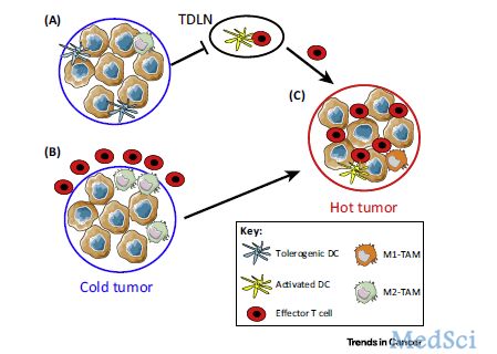 Cell：放疗，或将改变“癌症免疫疗法”
