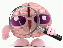 Neuroimmune <font color="red">Pharmacology</font>：肉桂有助于改善民众记忆力