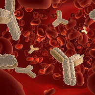 J immunol：ILC<font color="red">2</font>调节B细胞分泌抗体