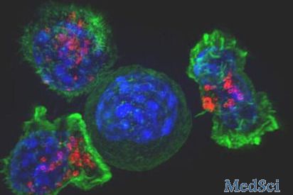 PNAS： <font color="red">PD-1</font>对于调节性T细胞中介导免疫耐受中的作用