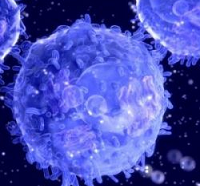 Nat Immunol：蛋白酶体介导CD8 T细胞胸腺选择过程