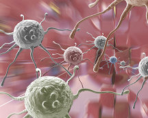 Nat Immunol：WNK1激酶介导T细胞体内粘附与迁移平衡